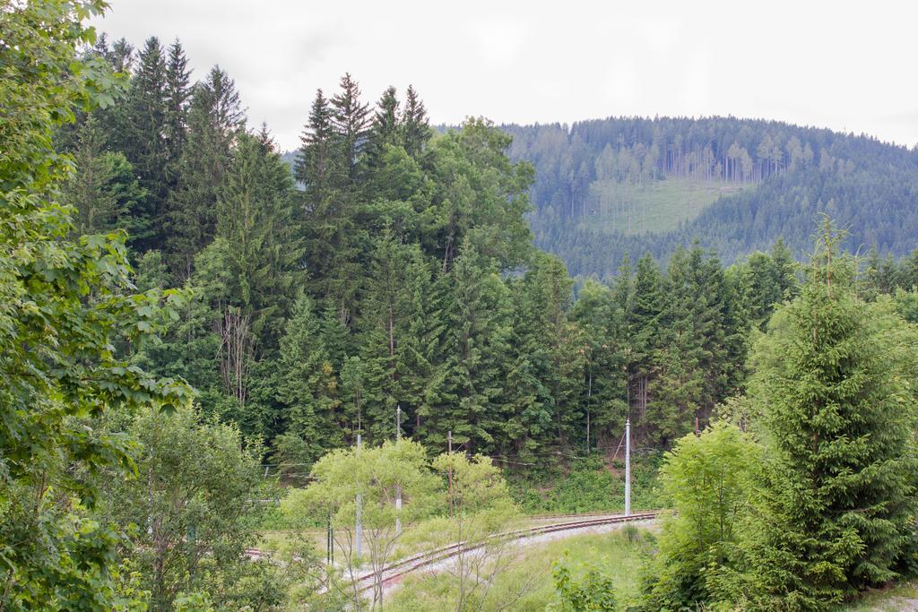 Haus Bierherr Mariazell Bagian luar foto